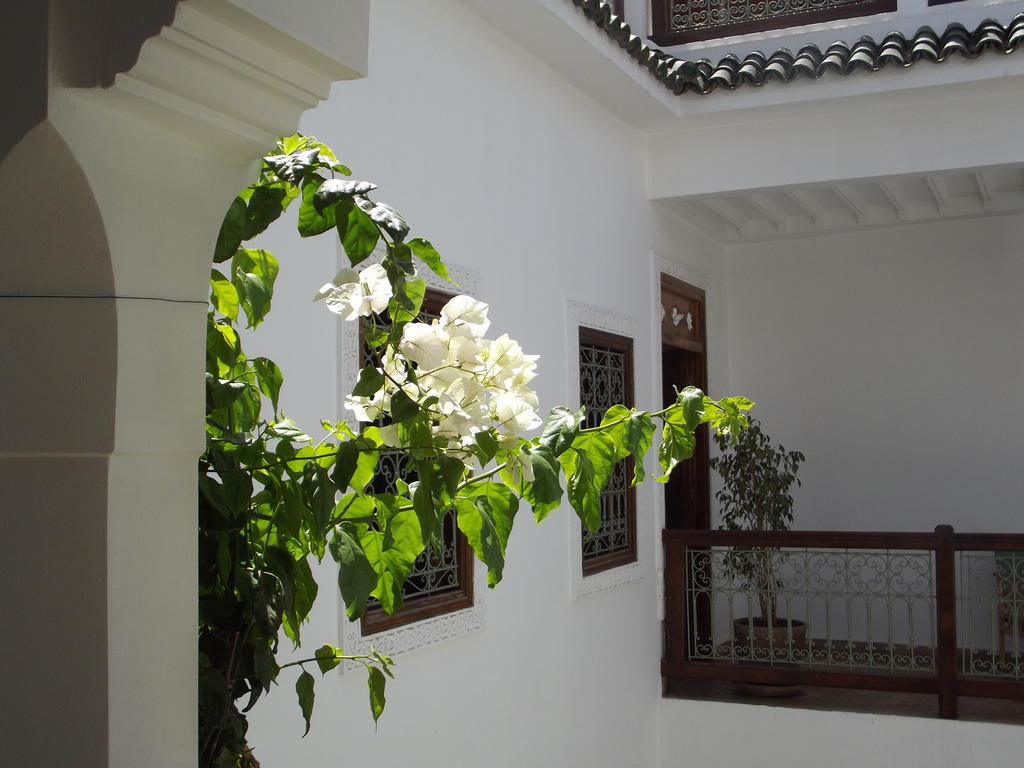 מרקש Riad Les Bougainvilliers מראה חיצוני תמונה